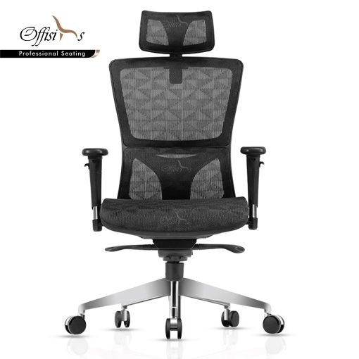 Ergonomic Mesh Executive Chair With Adjustable Armrest And Headrest - ICON