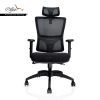 Ergonomic Executive Chair for Back support (Backcare-04HR )