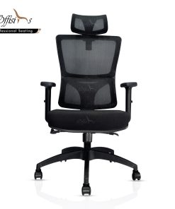 Ergonomic Executive Chair for Back support (Backcare-04HR )