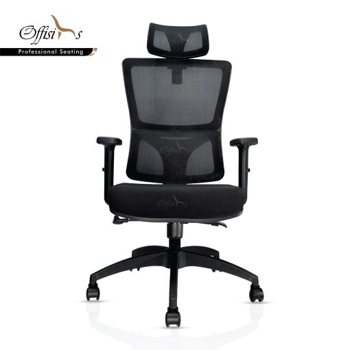 Ergonomic Executive Chair for Back support (Backcare-04HR )