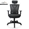 Ergonomic Office Chair With Flexible Lumbar Support (FC-01cm)