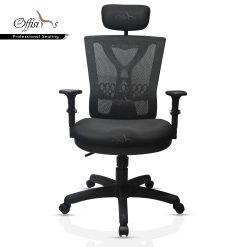 Ergonomic Office Chair With Flexible Lumbar Support (FC-01cm)