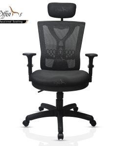 Ergonomic Office Chair With Flexible Lumbar Support (FC-01cm)