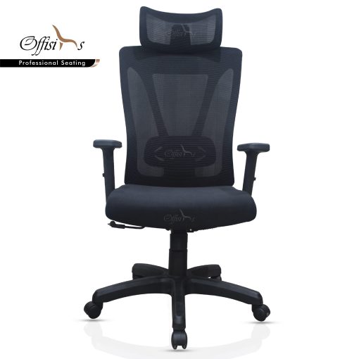 Sleek Ergonomic Office Chair With Adjustable Armrest And Lumbar Support (M-20HR)