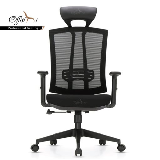 High Back Manager Chair For Long Sitting - ( M-15 )