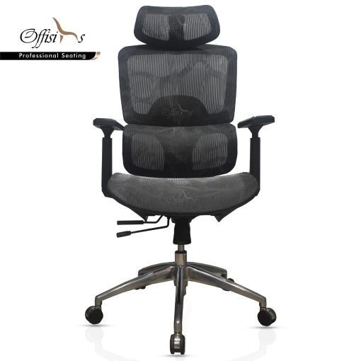 High Back Full Mesh Executive Chair With Excellent Back Support (MT-X100)