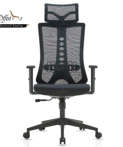 High Back Executive Ergonomic Chair For Long Sitting With Lumbar Support (M-30)