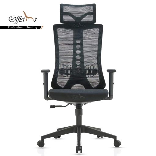 High Back Executive Ergonomic Chair For Long Sitting With Lumbar Support (M-30)