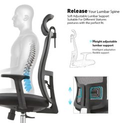 High Back Ergonomic Chair With adjustable Lumbar Support