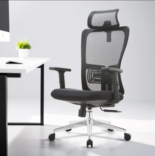 High Back Ergonomic Chair With adjustable Lumbar Support - S008HR