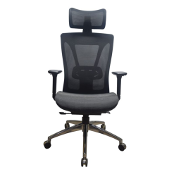 Executive Mesh chair with adjustable lumbar support M-20HR-FM