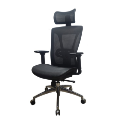 Executive Mesh chair with adjustable lumbar support M-20HR-FM