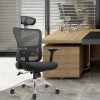 Ergonomic Executive Office Chair With 3D Armrest - S008-HR-ABS
