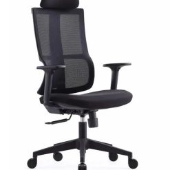 Alternative view of Ergonomic Office Chair with Adjustable Armrest - Backcare-025-TB