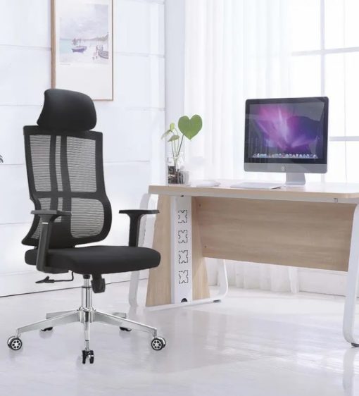 High Back Ergonomic Office Chair Backcare-025