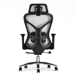 Aris HR (Upgraded) 04