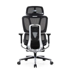 Ergonomic Full Mesh Chair With Adjustable Features 7