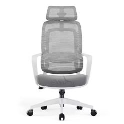 High Back Ergonomic Office Chair With Lumbar Support OF 6555 (Grey) 5